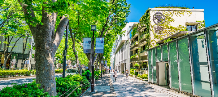 表参道　住みやすさ