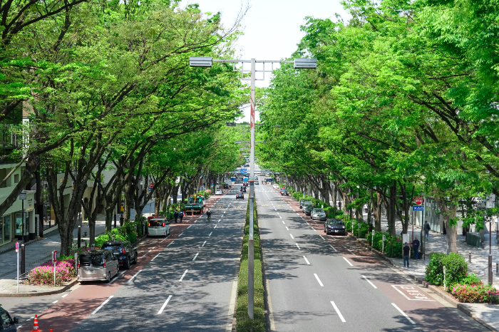 表参道　住みやすさ